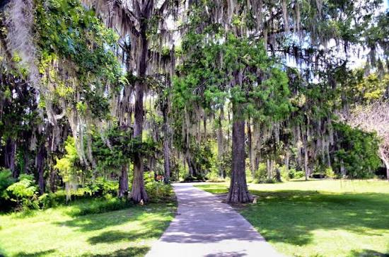 Garage & Workshop Conversions: Expanding Your Living Space in Winter Garden & Apopka